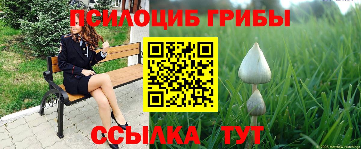 Псилоцибиновые грибы Magic Shrooms  Вход с VPN  Заинск  Псилоцибиновые грибы Magic Shrooms 